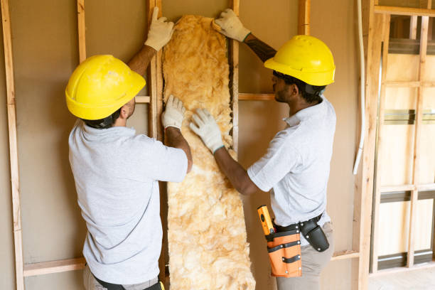 Insulation Replacement Services in Munford, TN